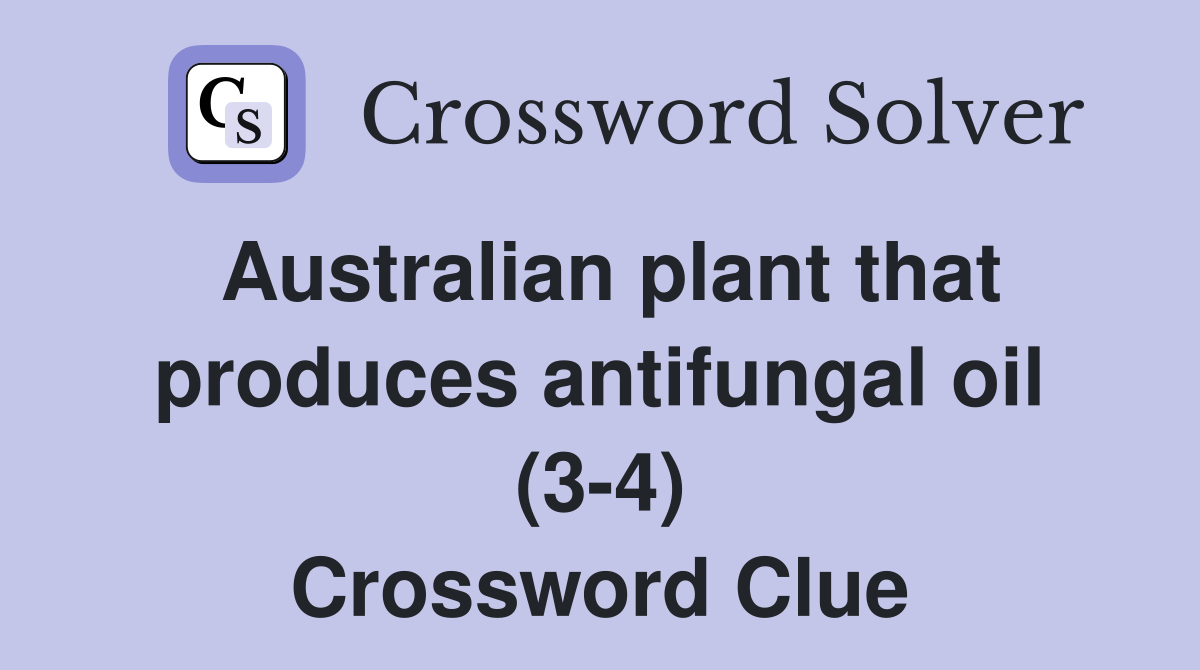 Australian plant that produces antifungal oil (34) Crossword Clue